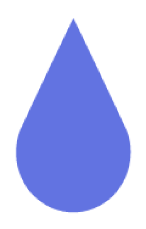 Particpant for Single Candidate 2