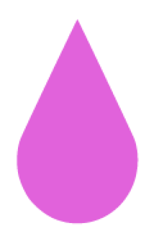 Particpant for Rank 4