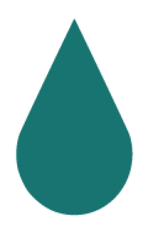 Particpant for Single Candidate 3