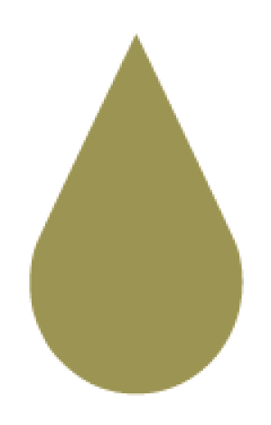 Particpant for Rank 1